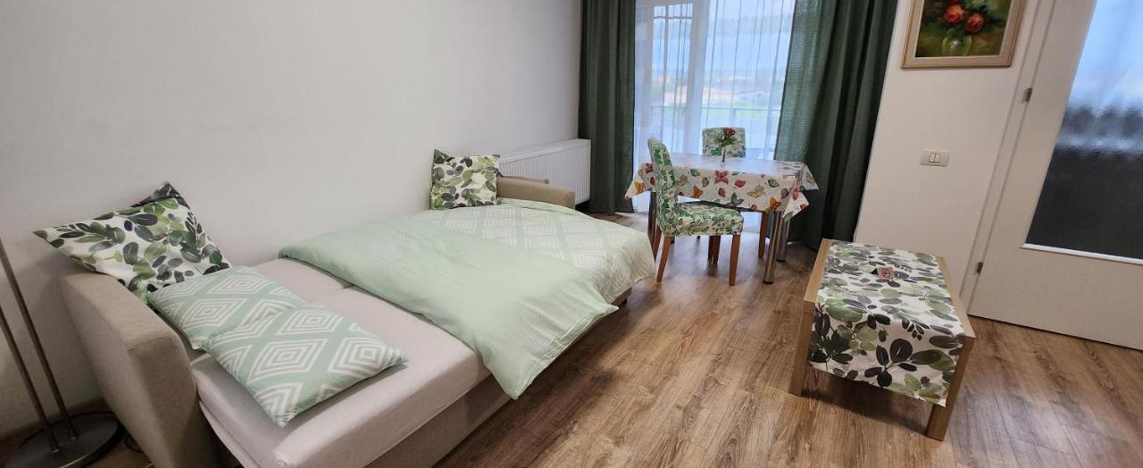 Butterfly Apartment Temešvár Exteriér fotografie