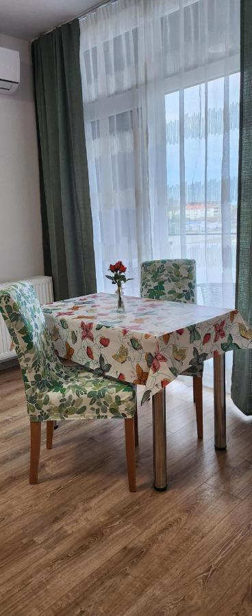 Butterfly Apartment Temešvár Exteriér fotografie