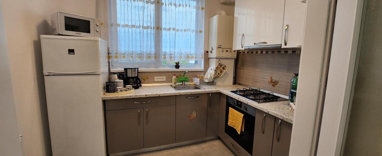 Butterfly Apartment Temešvár Exteriér fotografie