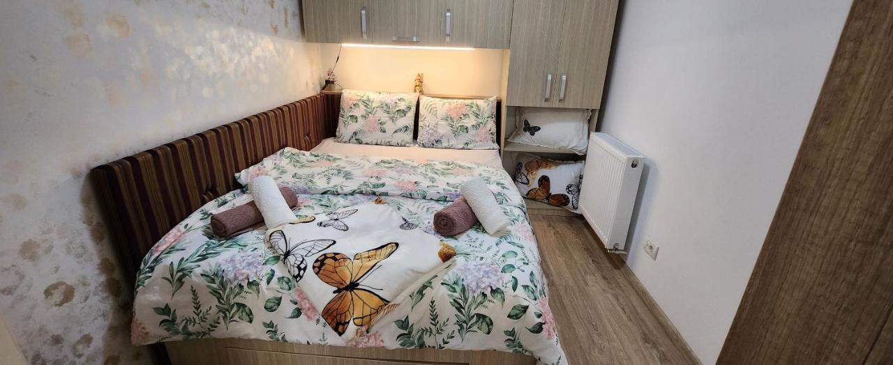 Butterfly Apartment Temešvár Exteriér fotografie