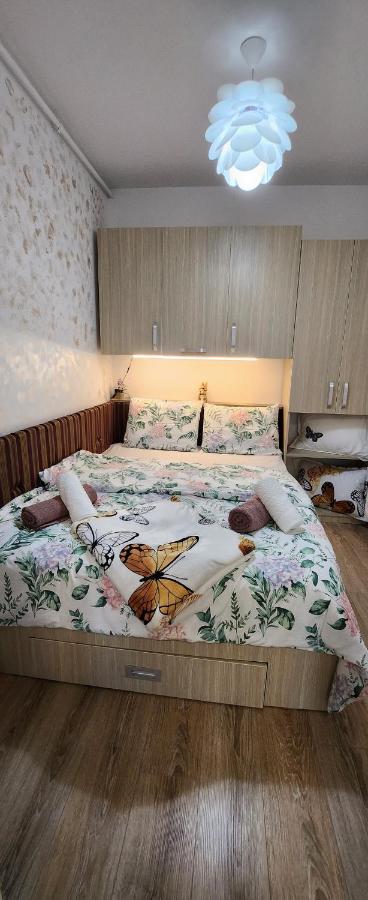 Butterfly Apartment Temešvár Exteriér fotografie