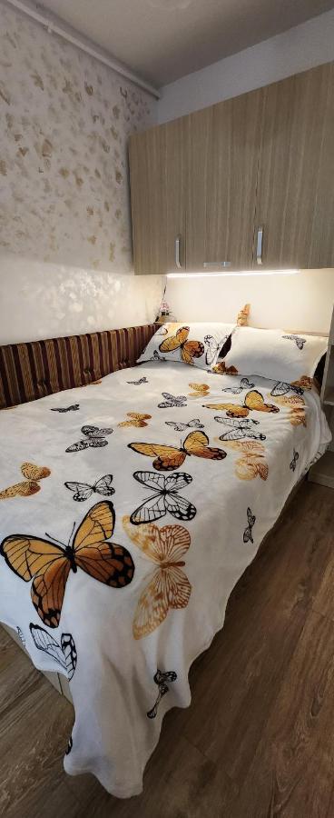 Butterfly Apartment Temešvár Exteriér fotografie